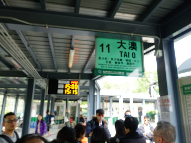 DSC06721_26387583910_m