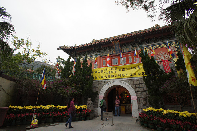 DSC07357_15834018022_m