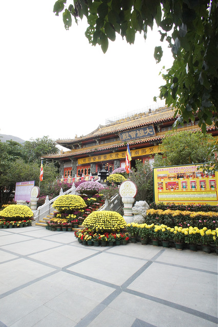 DSC07368_15832446855_m