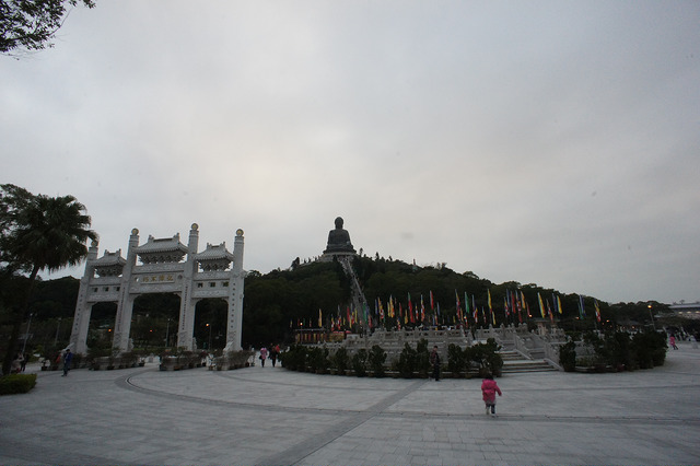 DSC07377_15647608400_m