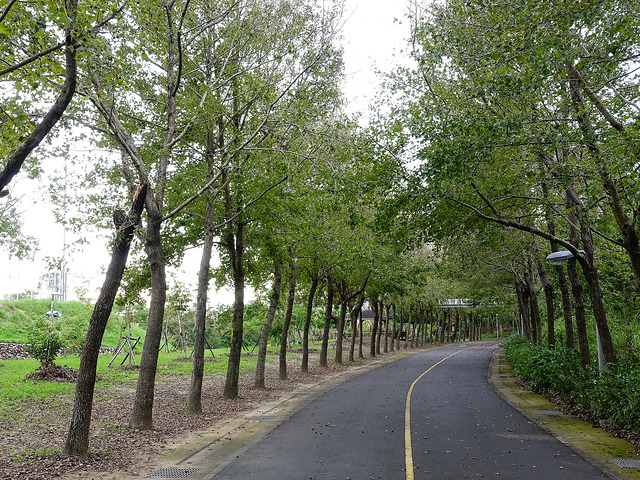 車道還可以連接東豐綠色走廊