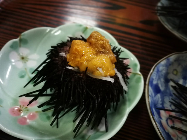 40634839502_420afcf798_z