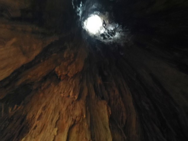 34183606253_f9efddcf12_z