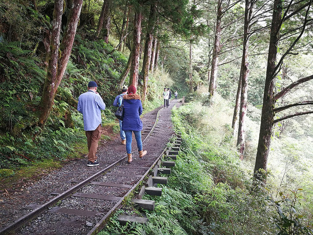 34830671432_34579afb7b_z