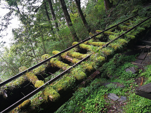 34830763972_a7902eb6ee_z