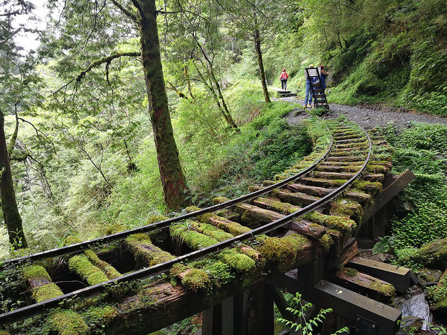 34994226445_6a17b599f0_z