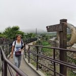 46834062115_9d366fe6f3_z