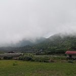 46961384044_f56b099452_z