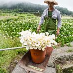 46974415975_46337d2dab_z