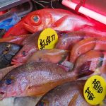 48397352222_ba03844e27_c