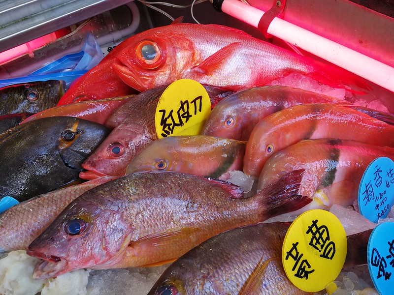 48397352222_ba03844e27_c