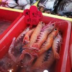 48397352872_32bea5432e_c