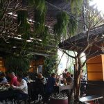 IMG_20191114_130452_49082556843_m