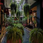 IMG_20191114_145131_49083281692_m