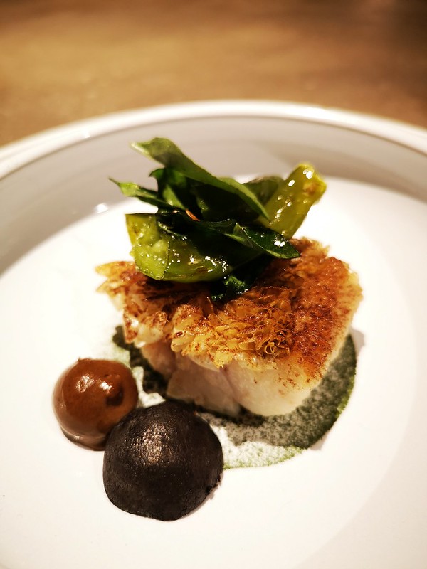 49205289637_d42a9793fb_c